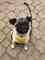 Click to view classifieds UOYTBGOR