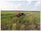 Click to view classifieds YRLUPHTB