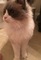 Click to view classifieds PGEDBNKN