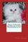 Click to view classifieds KVBBTMZU