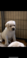 Click to view classifieds SKCSQWZO