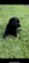 Click to view classifieds ZPZHNTDR