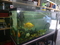 Click to view classifieds TVVFAKCR