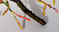 Click to enlarge image