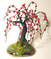 Click to view classifieds MBCAQNFX