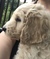 Click to view classifieds OCFSLUAK