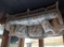 Click to view classifieds FAEESYBB