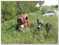 Click to view classifieds YCDNLFWT