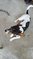 Click to view classifieds WUYDSYVF