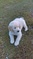 Click to view classifieds RXHSDSUJ