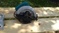 Click to view classifieds FQUJLGLY