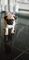Click to view classifieds AQVPXGOD