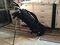 Click to view classifieds JWRZOSCT