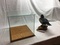 Click to view classifieds TQGEJNVH