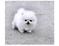 Click to view classifieds PPGOHJVX