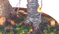 Click to enlarge image