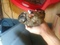 Click to view classifieds JOJBPBEY