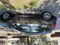 Click to view classifieds MROYXPPH