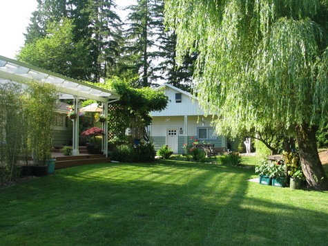 Large back yard and shop