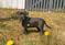 Click to view classifieds NLVFPCFF