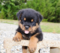 Click to view classifieds RVSOSBOK
