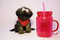 Click to view classifieds ZABZQGMR