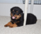 Click to view classifieds WKOSDZSV