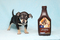 Click to view classifieds QJCNHGXG
