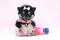 Click to view classifieds WBNKEVBL