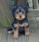 Click to view classifieds DMSCKORR