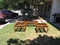 Click to view classifieds YPKNDJFO