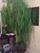 Click to view classifieds QGRYUYFB
