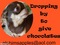 Click to view classifieds VHTNQHOM
