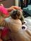 Click to view classifieds DRVVUDYV