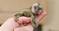 Click to view classifieds WTSYKOHO