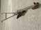 Click to view classifieds EOCTRNMO