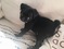 Click to view classifieds WVRPHGBT