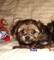 Click to view classifieds XEXVSKDG