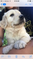 Click to view classifieds SBRZEHWQ