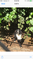 Click to view classifieds RNHVTPRQ