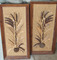 Click to view classifieds HKXDBXDS