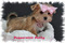 Click to view classifieds SRTBCRTU