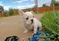 Click to view classifieds HKJYFHNJ