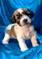 Click to view classifieds AXXHBDXY