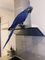 Click to view classifieds UEZWDBBV