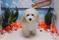 Click to view classifieds PNGXFCJL