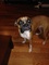 Click to view classifieds RTFXOWYW