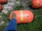 Click to view classifieds YOGVOEAY