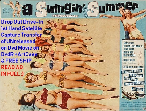 "A Swingin' Summer" (1965){DvdR}