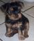 Click to view classifieds ULKSPYCB